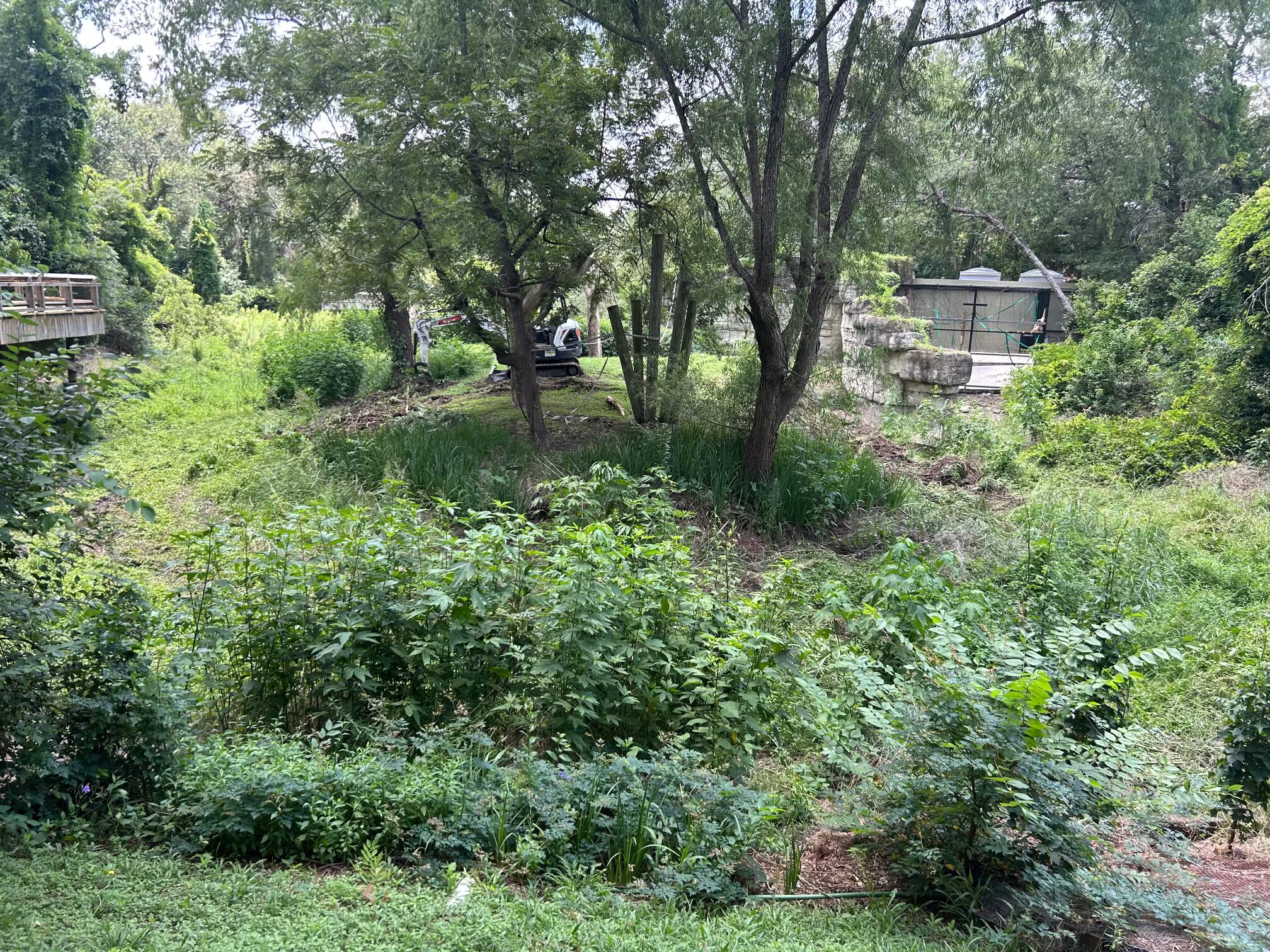 C1D46341-B7E4-4A7A-B0D8-ADDC1B07B928